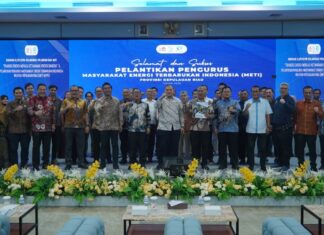 Wagub Nyanyang: Kepri Miliki Potensi Besar Energi Hijau, Saatnya Percepat Transisi Energi