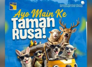 Healing ‘Asyik’ di Batam, Taman Rusa BP Batam Tawarkan Wisata Alam, Edukasi dan Spot Instagramable