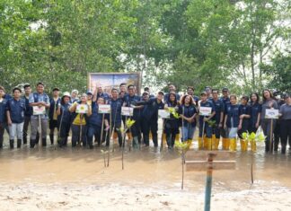 2.100 Bibit Mangrove Ditanam, Ascott Indonesia Perkuat Program Keberlanjutan Ascott CARES