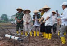 Hari Pangan Sedunia 2026, Wagub Nyanyang Ajak Petani Kepri Tingkatkan Produksi dengan Inovasi