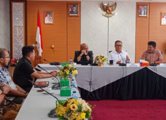 Wagub Nyanyang Dorong Sumber Gas Baru di Kepri untuk Perkuat Pasokan Listrik dan Industri